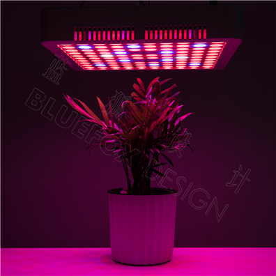 植物灯